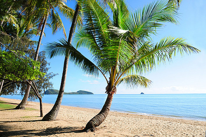 Palm Cove