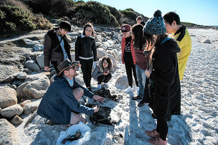 Learn about Aboriginal culture and Tasmanias Flora and Fauna