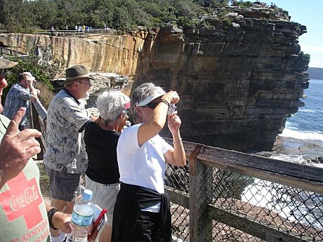 Ocean views at the heads of the harbour