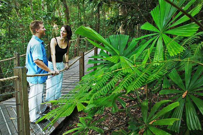 Rainforest Boardwalk