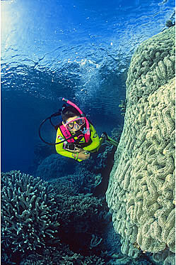 Diving around a big Bombie