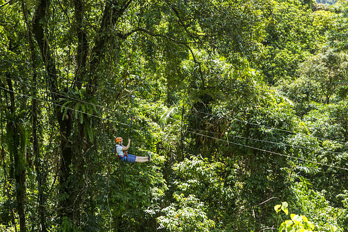 Rainforest views