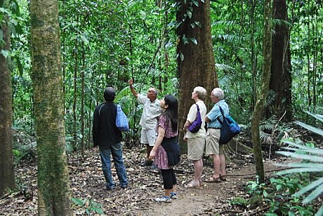 Rainforest walks witha naturalist guide.