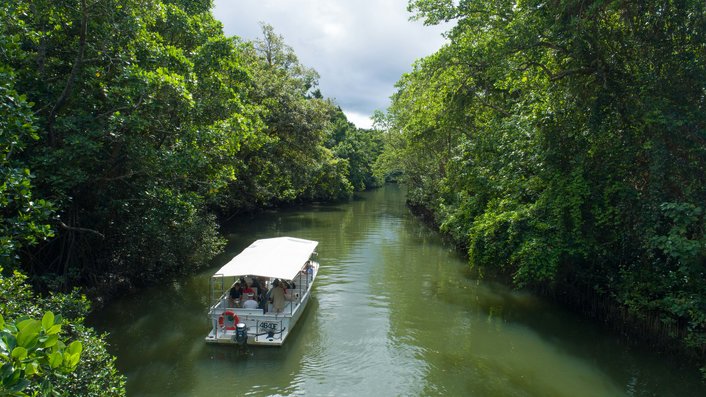 Daintree River cruise