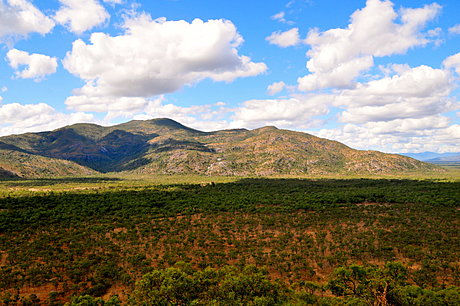 BOB'S LOOKOUT