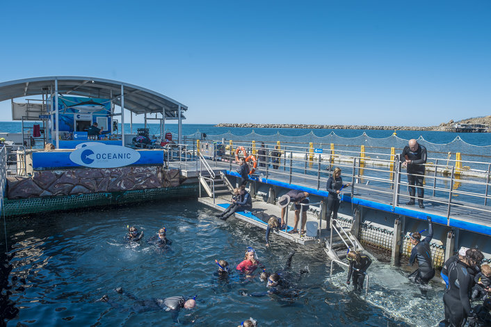 In-Sea Aquarium