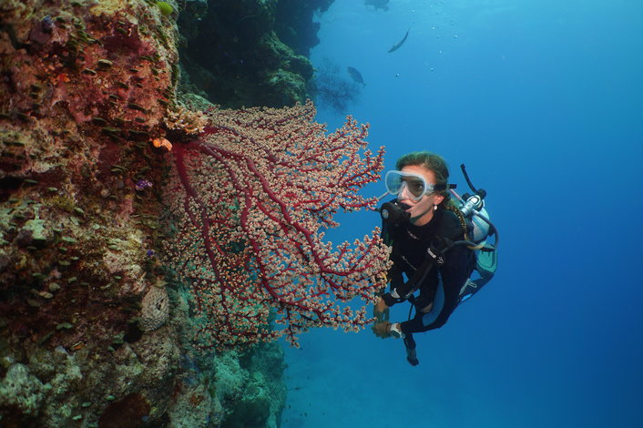 Diving the renowned Agincourt ribbon reefs