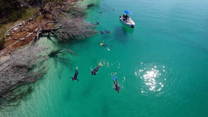 Snorkelling Fraser Island