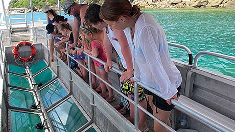 Fitzroy Island Glass Bottom Boat