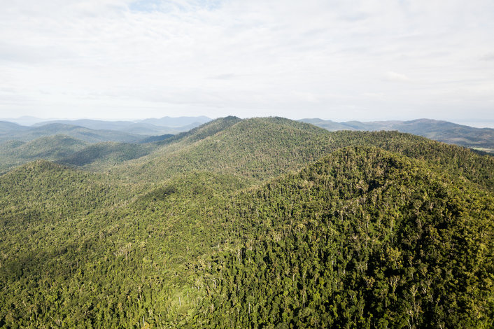 Explore the Conway National Park