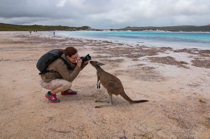 Kangaroo at Cape Le Grande. Photo by Narelle Jensen