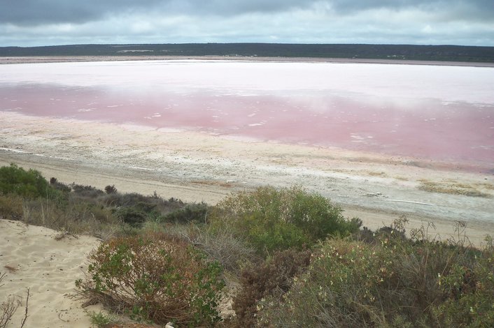 Pink Lake