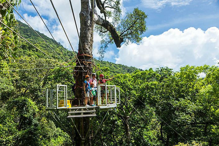 High above the canopy