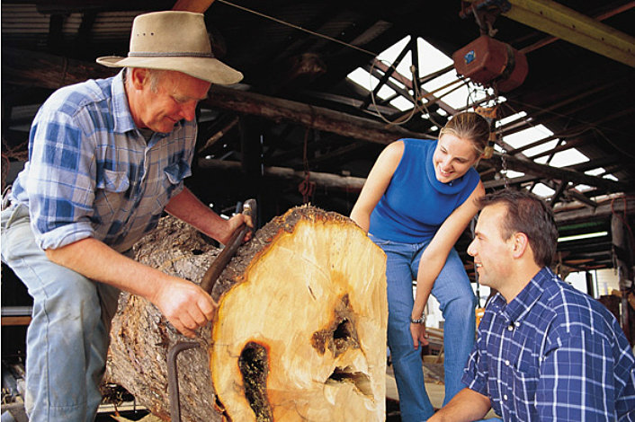 Huon Pine Sawmill Tour