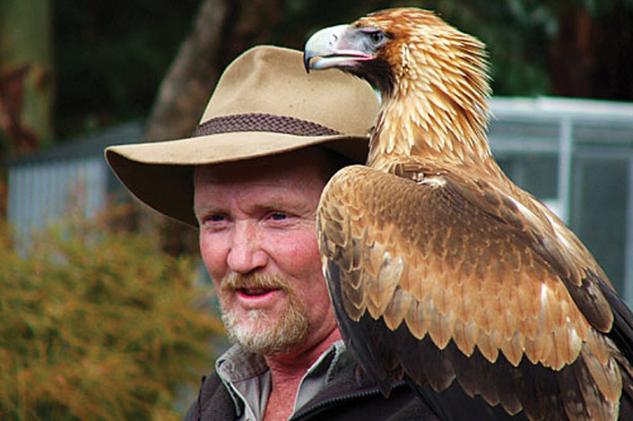 Raptor Domain - Birds of Prey