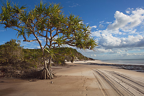 Pituresque Views, Fraser Island