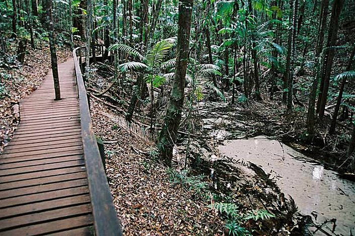 Central Station Fraser island