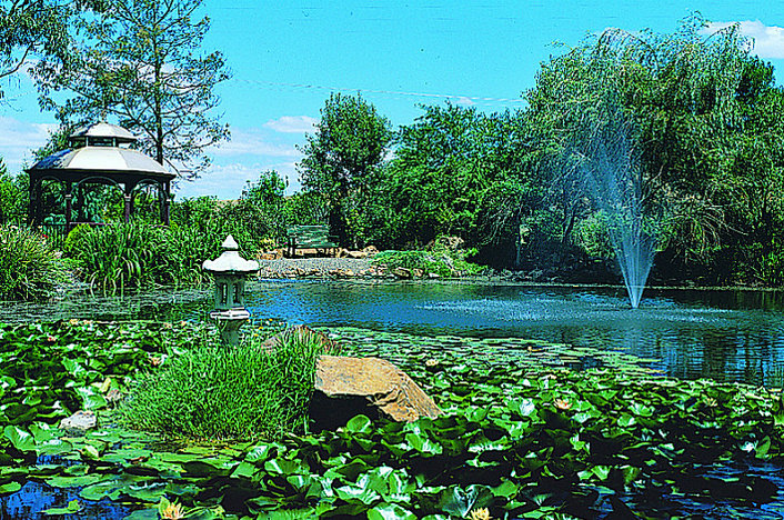 The Beautiful Lake at Fergusson's