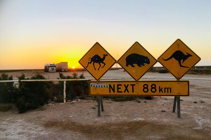 Nullarbor at sunset