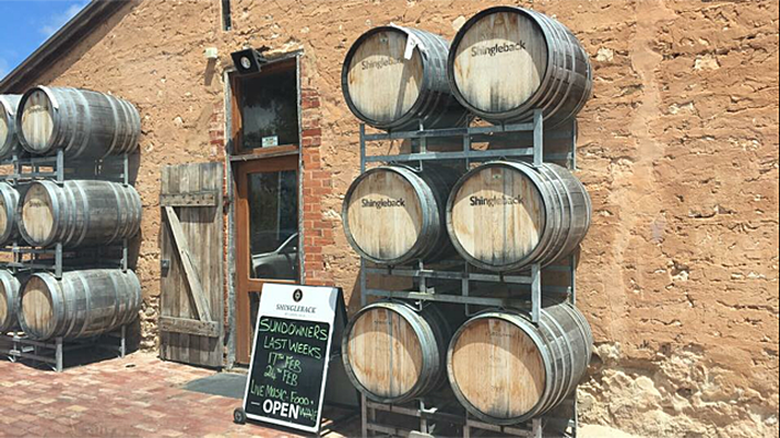 Shingleback wines