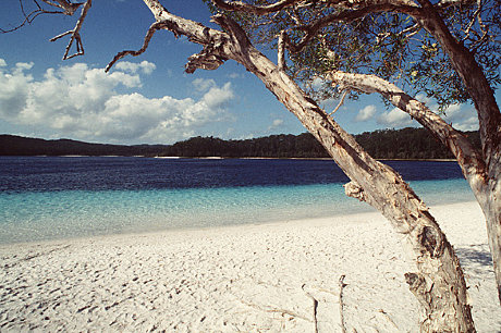 Lake McKenzie