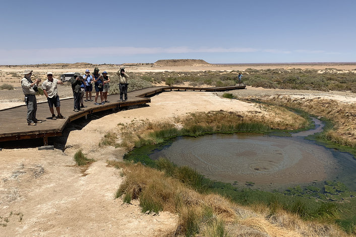 Mound Springs on the Oodnadatta Track
