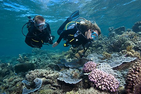 Diving at Moore Reef near Cairns