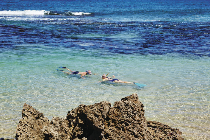 Snorkel pristine waters of Shark Bay 