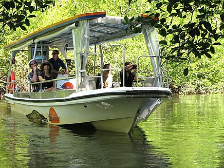 Daintree River Cruise