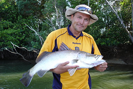 Barramundi