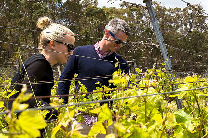 Couple inspecting the buds on the vine