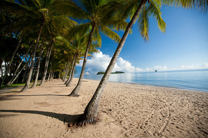 Palm Cove