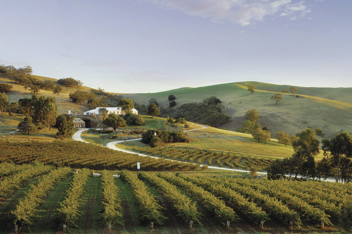 A typical Barossa view
