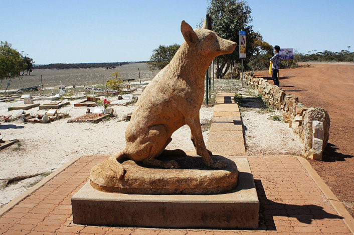 Dog Cemetery near Corrigin