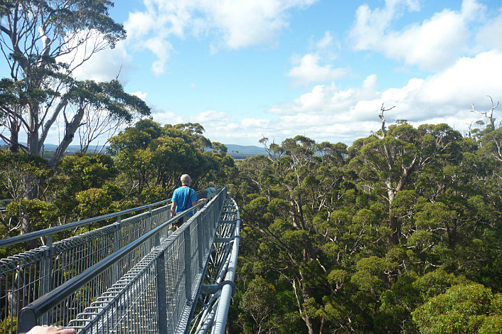 Valley of the Giants (credit Jean Leggat)