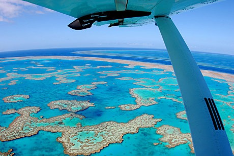 Hardy Reef, Hook Reef and The River