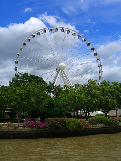 Wheel of Brisbane