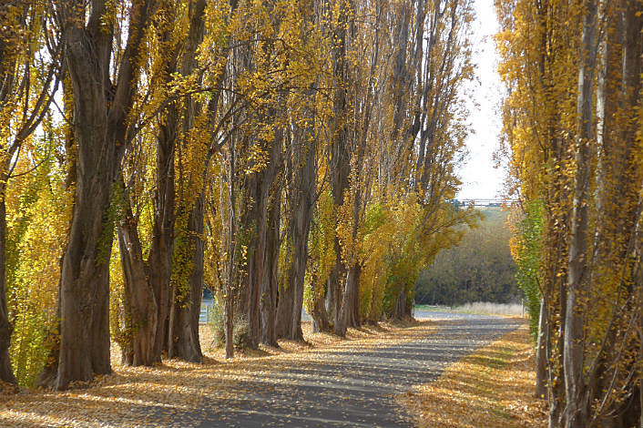 Entrance to Salmon Ponds