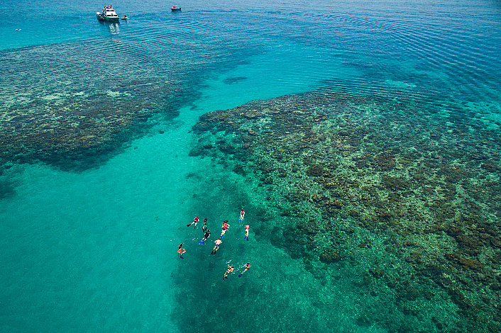 Snorkel the Reef