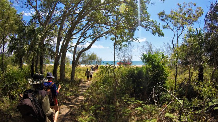 Littoral Rainforest