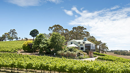 Hahndorf Hill Cellar door