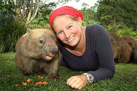 Wombat