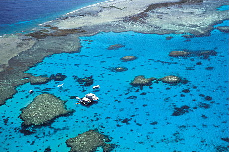 Lady Musgrave Lagoon