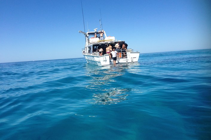 MV Sunkist on the reef 