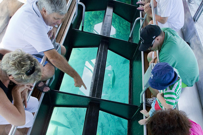 Glass Bottom Boat Tour at Green Island