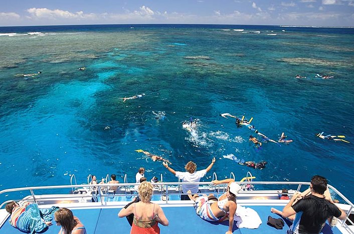 Snorkelling from the back deck