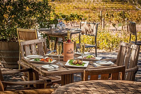 Skillogalee, lunch under the Olive Tree