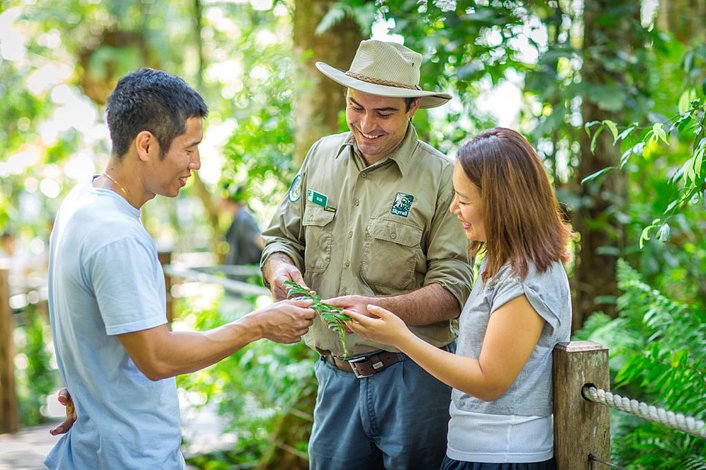 Ranger led tour at Skyrail mid-station