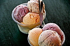 DAINTREE ICECREAM COMPANY