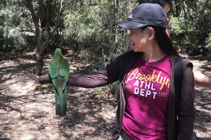 Colourful Parrots at Kennet River Park 